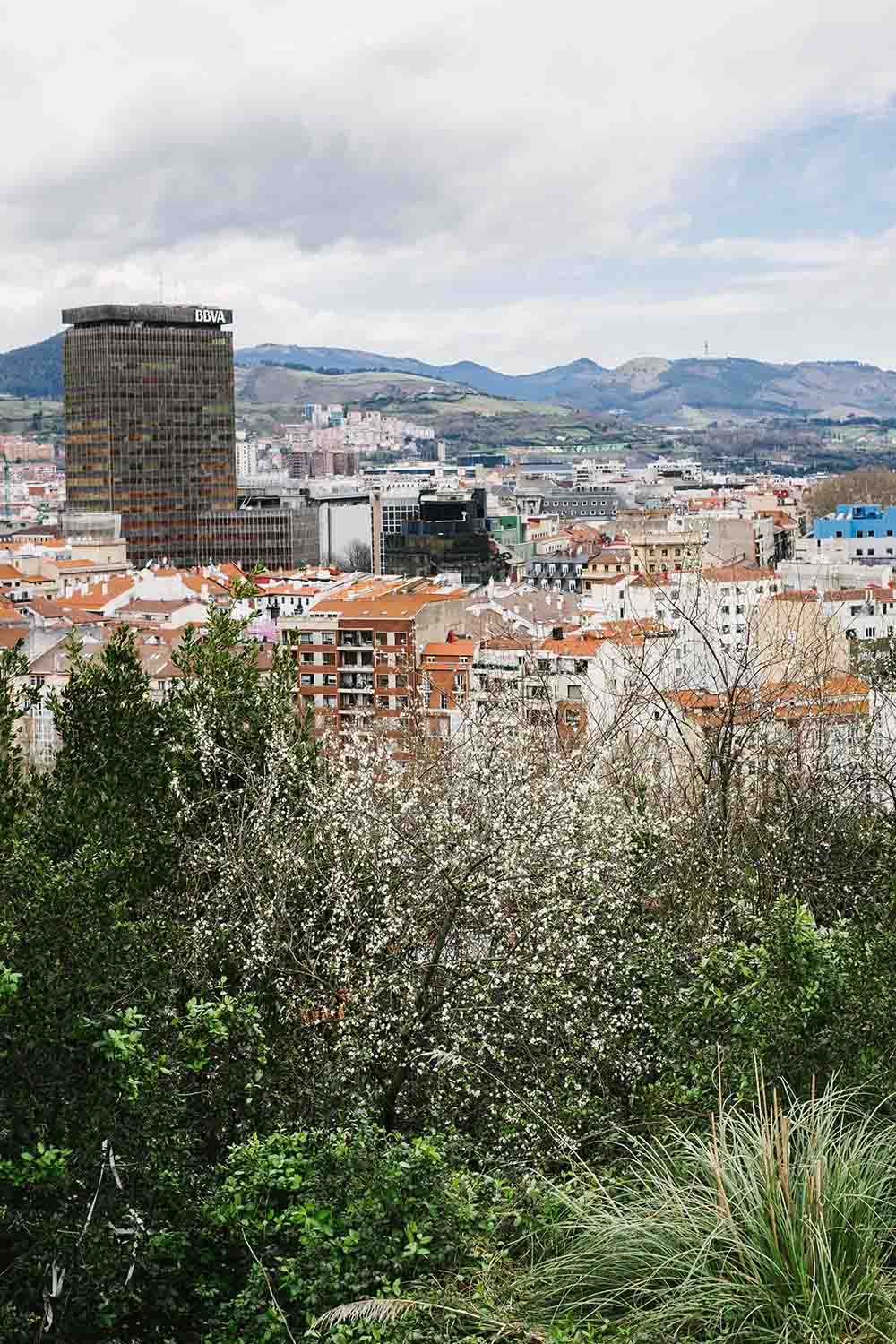 high-angle-view-townscape-against-sky